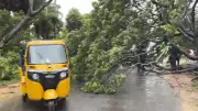 Cyclone Montha Batters Andhra Pradesh Coast: Heavy Rains, Destructive Winds Wreak Havoc