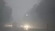 Delhi Fog Crisis: Visibility Drops to 50m, Flights Hit by Very Dense Smog