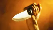 Delhi Horror: Three Arrested for Brutal Stabbing of Woman, Friend Injured in Northwest Delhi Attack