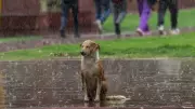Delhi Set for Historic Artificial Rain Trial on October 29 to Combat Pollution Crisis
