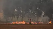 Delhi's Air Quality Crisis: Farm Fires Set to Worsen Capital's Pollution Woes