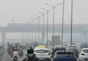 Delhi's Toxic Air Crisis: Air Purifier & Mask Sales Skyrocket as Pollution Worsens