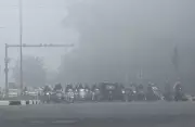 Dense Fog Blankets Chandigarh Tricity, Day Temperature Plummets 5°C
