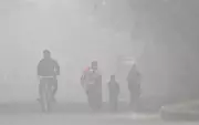 Dense Fog Blankets Tricity, IMD Issues 2-Day Alert for Chandigarh, Panchkula, Mohali
