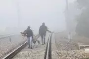 Dense Fog Disrupts North India: Delhi, Punjab, Haryana Worst Hit