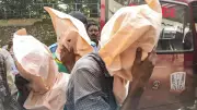 Durgapur Gang Rape: Victim Identifies Accused in Police Parade, Records Statement Before Magistrate