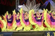 Expressions 2025: DAV Schools Host Annual Cultural Extravaganza