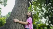 Forest Wisdom: How Indigenous Children in Maharashtra Are Learning From Nature's Classroom