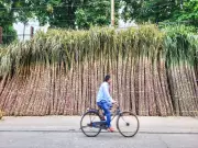 Government Approves Sugar Exports, ISMA Seeks MSP & Ethanol Price Revisions