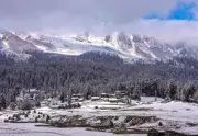Gulmarg Transforms into Winter Paradise: Fresh Snowfall Creates Magical Wonderland