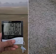 Gurgaon Plunges to Sub-Zero 1°C, Cold Wave Grips NCR Outskirts