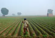 Haryana Farmers to Get Unique Digital ID, Aims to Streamline Subsidies