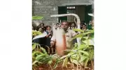 Heartwarming Farewell: Students' Emotional Tribute as School Peon Rings Bell After 38 Years of Service