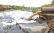 Himachal Pollution Crisis: NGT Demands Action Against Industrial Violators in Markandey Area