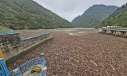 Himachal Pradesh Floods: Natural Disaster or Man-Made Catastrophe? The Shocking Truth Behind Rampant Tree Felling