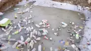 IFS Officer's Viral Video Exposes Plastic Waste at 13,000 Feet in Himachal