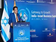 India, Israel Must Unite to Eliminate Terrorism: Piyush Goyal