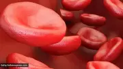 India's Birsa-101 Gene Therapy: Affordable Sickle Cell Treatment Breakthrough