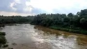India's Rivers in Peril: How Data Gaps Are Drowning Our Waterways