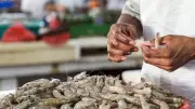 India's Seafood Exports Surge 16% to $4.87B, Defying High US Tariffs