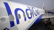 Indigo Aircraft Damaged in Rishikesh Bird Strike, All Passengers Safe
