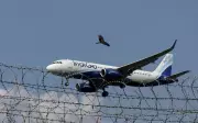 IndiGo Cancels Over 70 Flights Amid Crew Shortage & Tech Issues