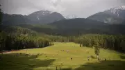 J&K Awaits NIA Clearance to Revive Pahalgam Cable Car Project Suspended After Terror Attack