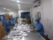 Karnal Pharma Park: Drug Makers Await Land Allocation as Project Faces Delays