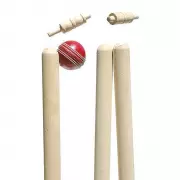 Madhya Pradesh Defeat Chandigarh by 7 Wickets in Vijay Hazare Trophy