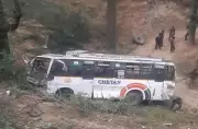 Mandi Bus Accident: Elderly Woman Killed, 5 Injured in Himachal