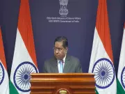 MEA Reaffirms Commitment to Extradite Fugitives After Lalit Modi, Vijay Mallya Video