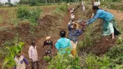 MGNREGA in Karnataka: Workers Face Declining Work Days After 20 Years