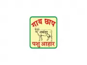 Narmada Agrobase Reports ₹2370 Lakhs Revenue in H1 FY26