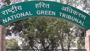 NGT Approves Hyderabad-Bijapur Highway with 765 Banyan Trees Protected