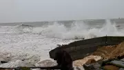 NITI Aayog's Coastal Regulation Zone Cut to 200m Sparks Environmental Crisis | Environmentalists Urge PM Modi to Intervene