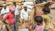 North Karnataka Farmers in Crisis as Pulse and Soybean Prices Crash Below MSP