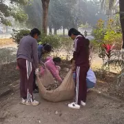 NSS Volunteers Plant 100 Saplings at PAU in Ludhiana Green Drive