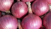 Onion Prices Slashed to ₹15/kg! Full List of States Getting Relief