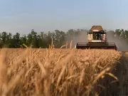 Pakistan's Agriculture Crisis Deepens as Production Costs Skyrocket