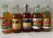 PAU's Brewed Vinegar Tech Empowers Agripreneurs with New Income Avenues