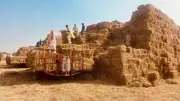 Punjab Farmers' Straw Bale Crisis: Wheat Sowing at Risk as Parali Piles Up