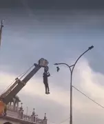 Punjab Man's Daring Bird Rescue from High-Rise Goes Viral, Wins Hearts