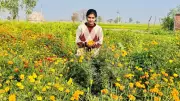Punjab's Amanjit Kaur: From IELTS Prep to Flower Power, A Youth Icon in Mansa