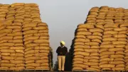 Punjab's Free Atta-Dal Scheme Gets Major Overhaul: 11 Lakh Ineligible Beneficiaries Removed