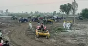 Punjab's Green Revolution 2.0: Farmers Unite to Revive Barren Lands Through Traditional Wisdom