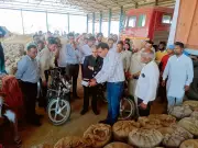 Punjab's Paddy Pile-Up: Centre's Rigid Norms Spark Crisis as 80% Harvest Floods Mandis