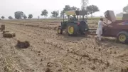 Punjab's Soil Revival: How In-Situ Paddy Stubble Management Outperforms Ex-Situ Methods