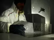 Quantum Material Discovery Could Revolutionize Future Electronics