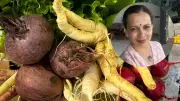 Rujuta Diwekar's 3 November Habits for Better Health & Digestion
