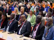 Russia and Africa Forge Stronger Ties in Mining and Education Sectors